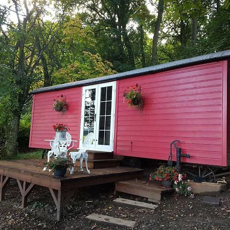 Borthwickbrae Shepherd'S Hut Hawick Ngoại thất bức ảnh